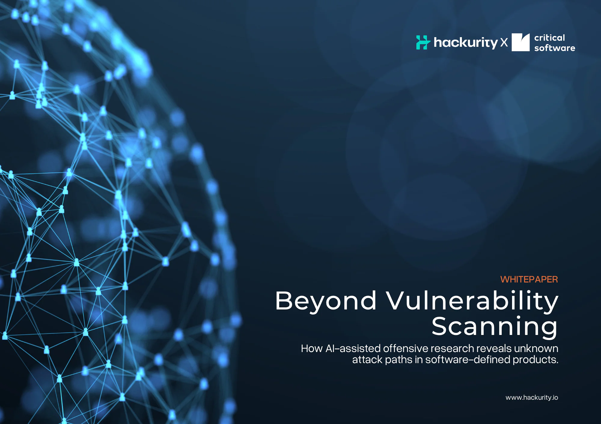 Beyond Vulnerability Scanning omslag